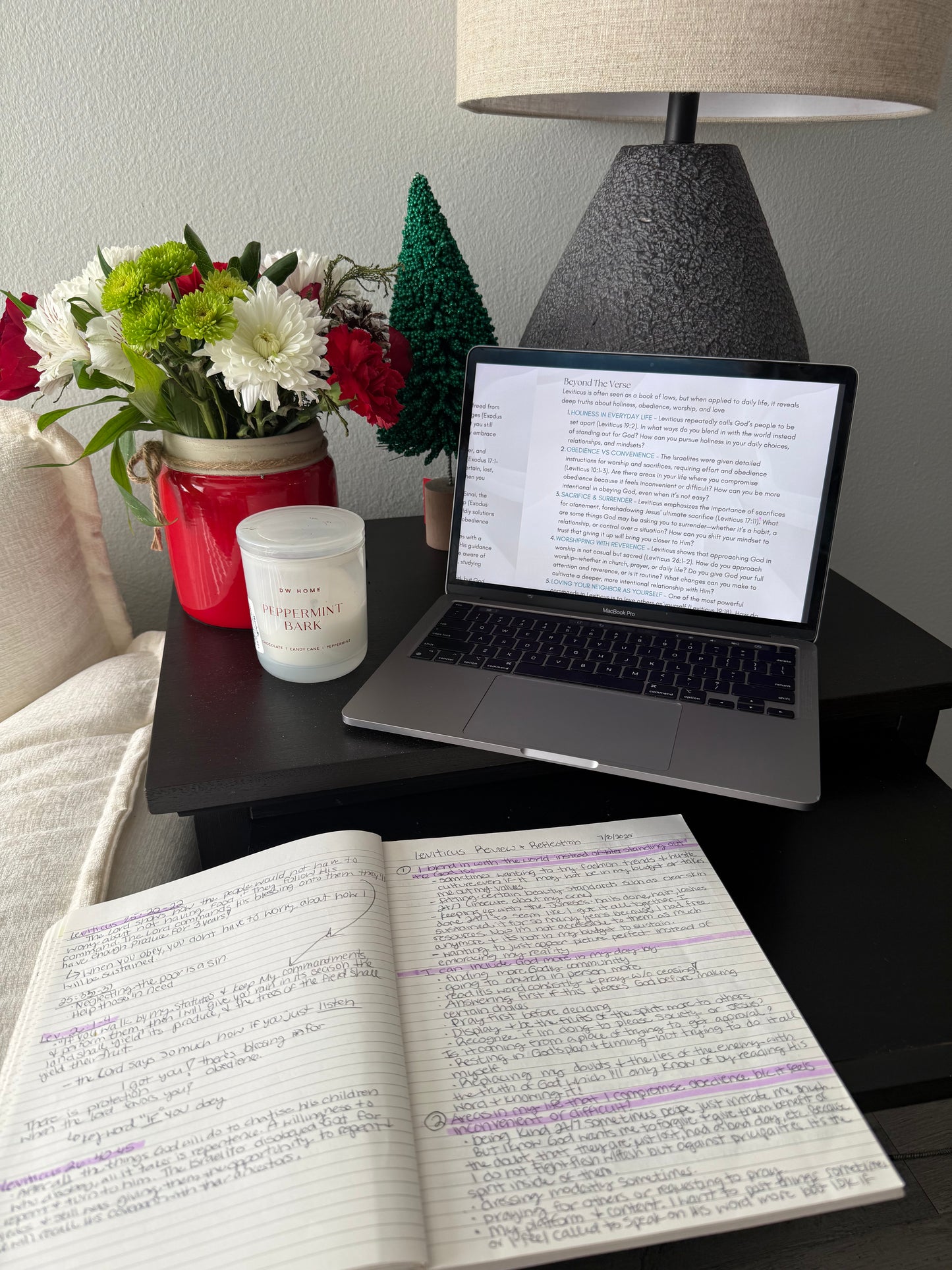 Rooted: Daily Bible Reading + Reflection Plan