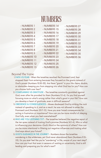 Rooted: Daily Bible Reading + Reflection Plan